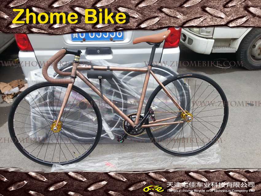 fixed gear electric bike